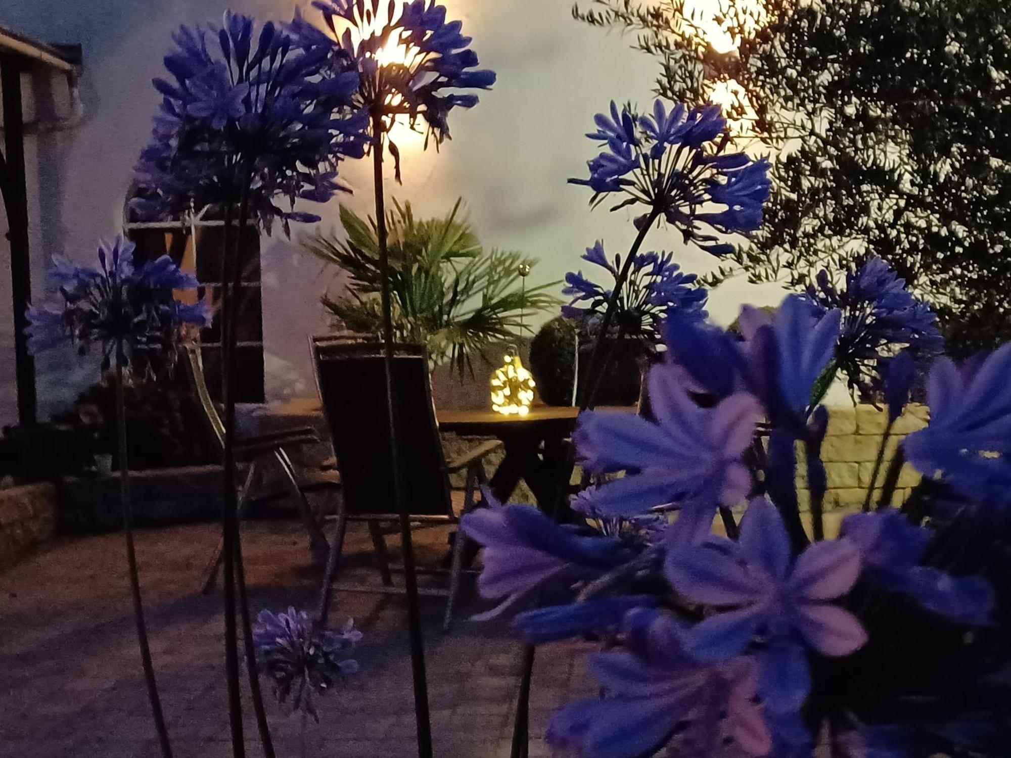 Gaestehaus Frevel Münstermaifeld Εξωτερικό φωτογραφία